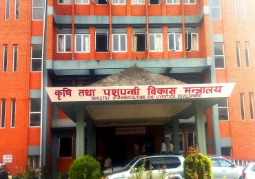 बर्डफ्लू सम्बन्धी उच्च सतर्कता अपनाउन कृषि तथा पशुपक्षी मन्त्रालयकाे आग्रह